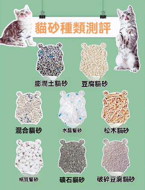 四種常見貓砂
