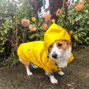 Yellow Hooded Dog Raincoat | European Style Waterproof Jacket for Pets