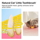 Potaroma Loofah Cat Chew Toys with Catnip and Silvervine, 3PCS Interactive Kitten Loofa Dental Toys