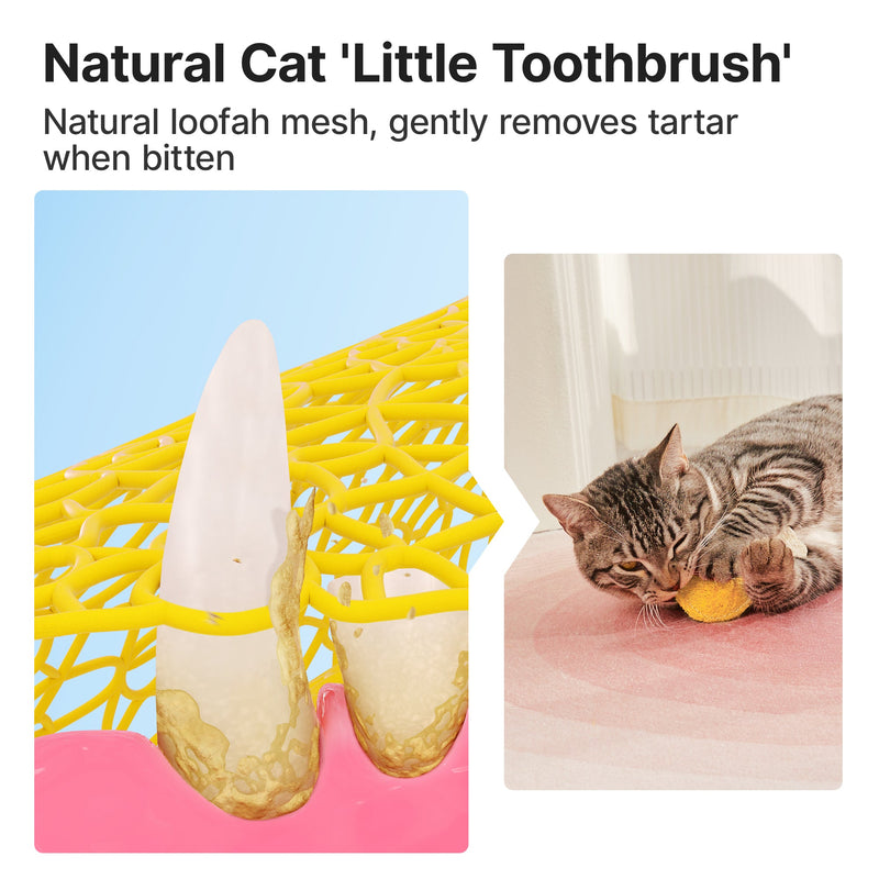 Potaroma Loofah Cat Chew Toys with Catnip and Silvervine, 3PCS Interactive Kitten Loofa Dental Toys