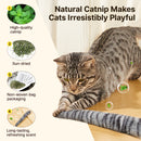 Lifelike Tail Simulation Cat Catnip Toys, Pack of 3