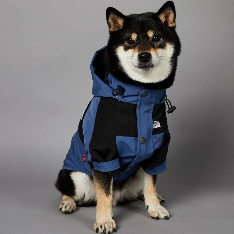 The Dog Face Blue  Shell Jacket