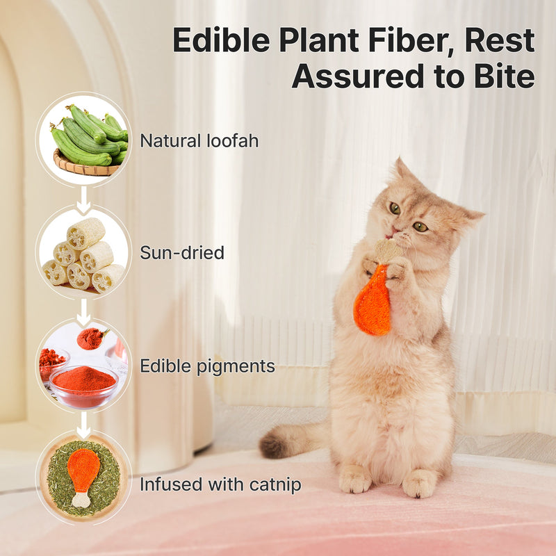 Loofah Cat Chew Toys with Catnip and Silvervine,3PCS Interactive Kitten Loofa Dental Teething and Biting Catnip Toys