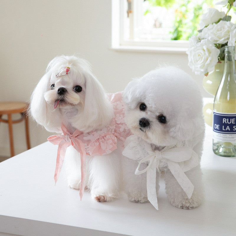 Tie Bow Pet Dress | Elegant Ribbon Collar Outfit for Small Dogs & Cats