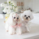 Tie Bow Pet Dress | Elegant Ribbon Collar Outfit for Small Dogs & Cats