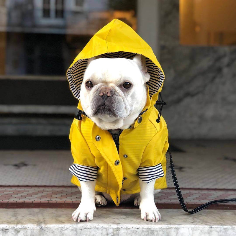 Yellow Hooded Dog Raincoat | European Style Waterproof Jacket for Pets