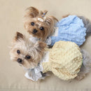 Lace Pet Dress | Summer Contrast Suspender Skirt for Dogs