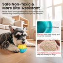 Frozen Treat Dog Toys Enrichment Ball Puppy Chew Toy