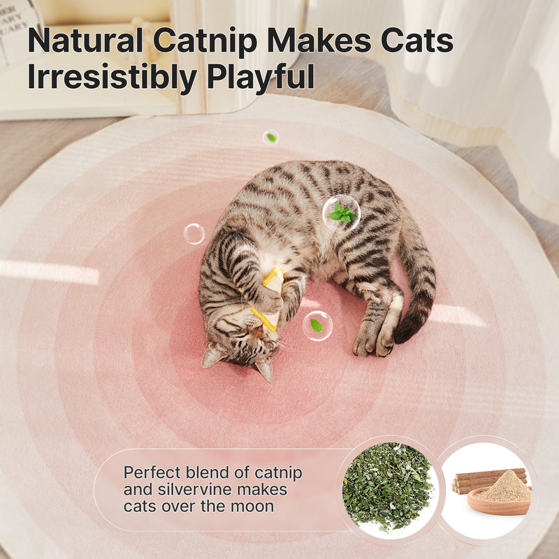 Potaroma Loofah Cat Chew Toys with Catnip and Silvervine, 3PCS Interactive Kitten Loofa Dental Toys