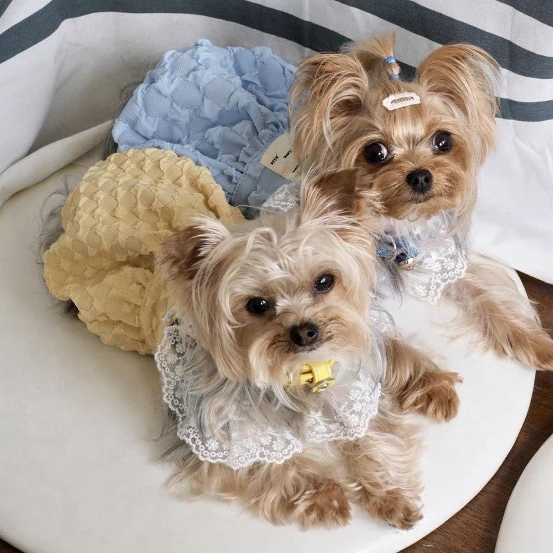 Lace Pet Dress | Summer Contrast Suspender Skirt for Dogs