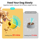 Frozen Treat Dog Toys Enrichment Ball Puppy Chew Toy