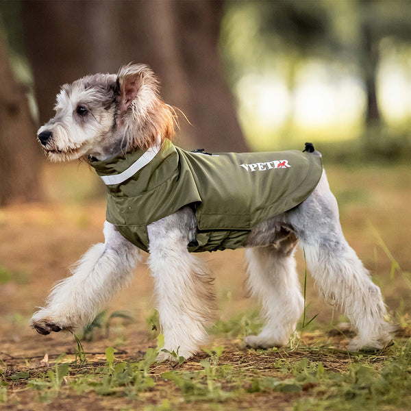 Reflective Dog Raincoat – Windproof Outdoor Jacket for Small to Medium Dogs