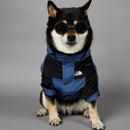 The Dog Face Blue  Shell Jacket