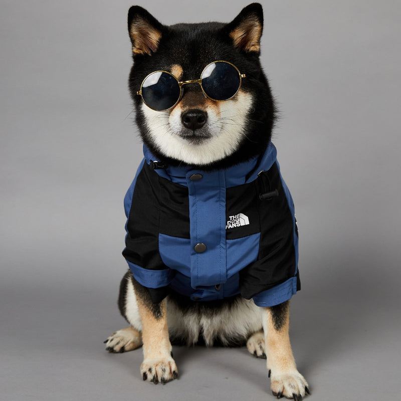 The Dog Face Blue  Shell Jacket