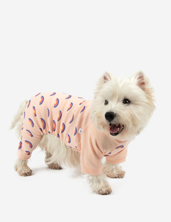 Dog Retro Rainbow Pajamas