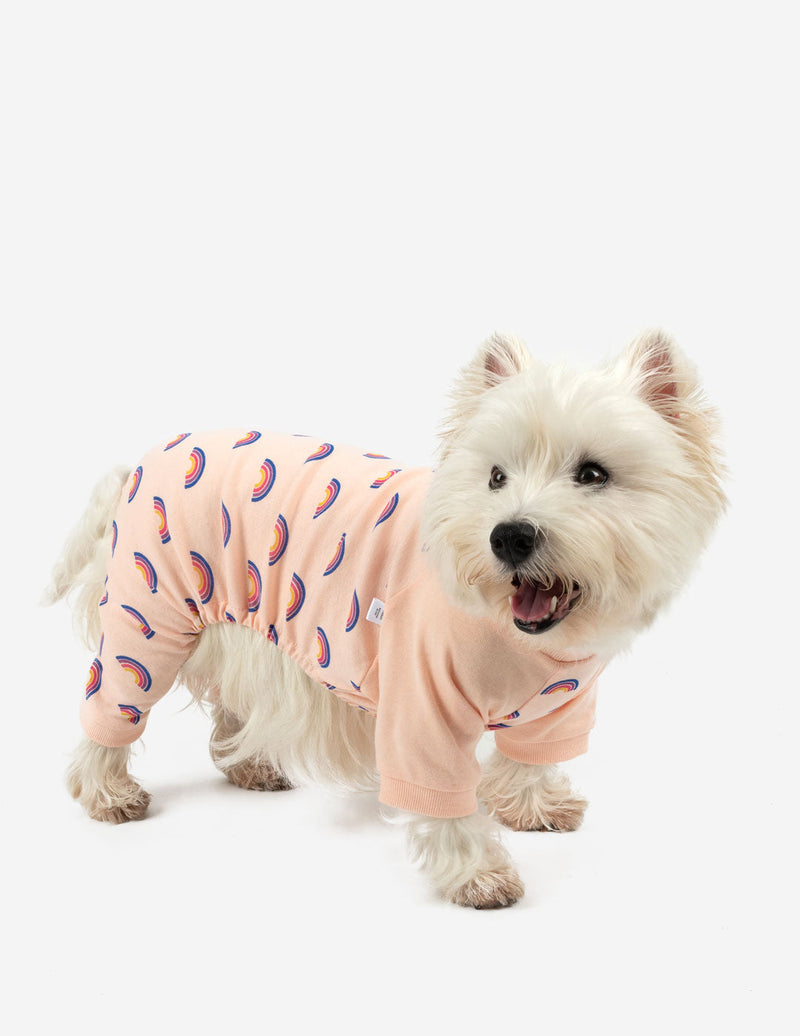 Dog Retro Rainbow Pajamas