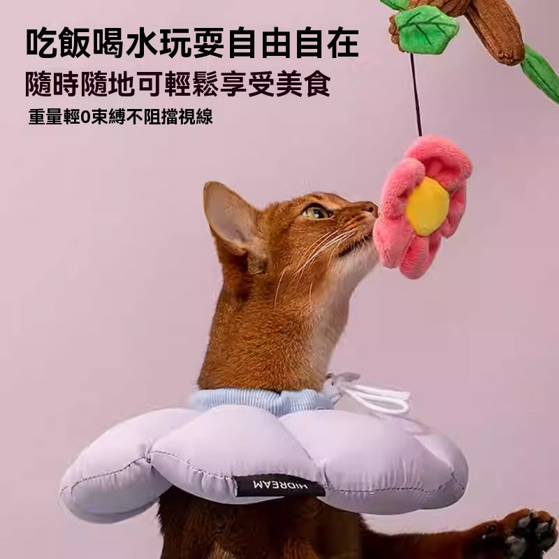 Commapet- 伊莉莎白圈 貓軟圈狗寵物大型犬幼貓防舔軟防水加長柔軟貓絕育狗圈