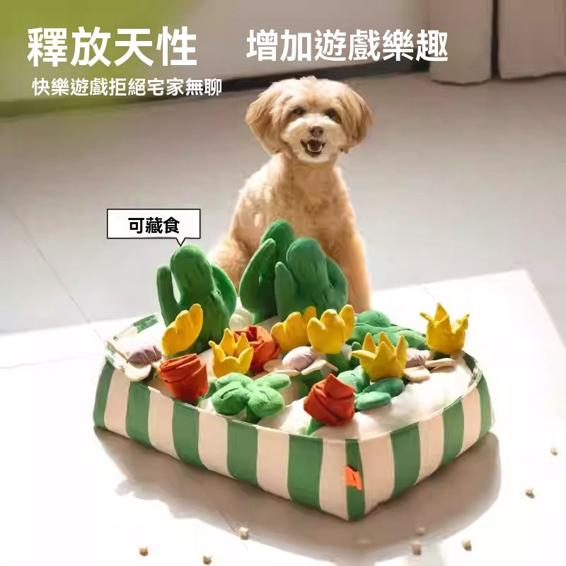 Commapet- 寵物嗅聞發聲玩具｜狗狗貓咪解悶藏食益智好夥伴
