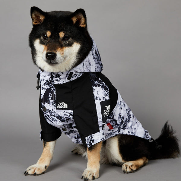 The Dog Face Mountain Shell Jacket