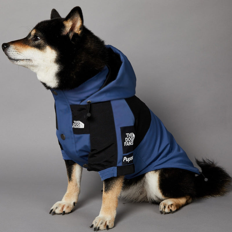 The Dog Face Blue  Shell Jacket